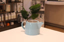 baby blue teapot