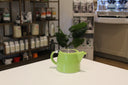 Green teapot