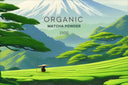 Culinary grade organic matcha powder 250g